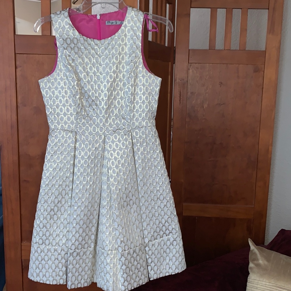 COPY - Eliza J Beautiful Metallic Thread Dress With Pink Lining